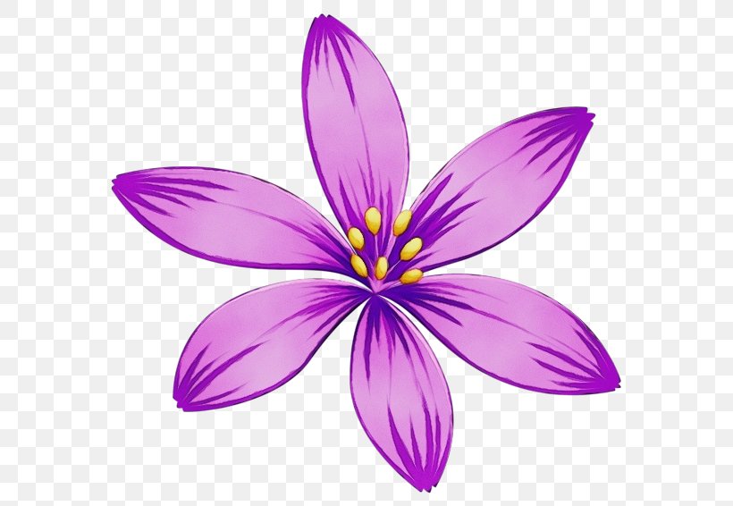 Petal Violet Purple Flower Plant, PNG, 600x566px, Watercolor, Crocus, Flower, Flowering Plant, Iris Family Download Free