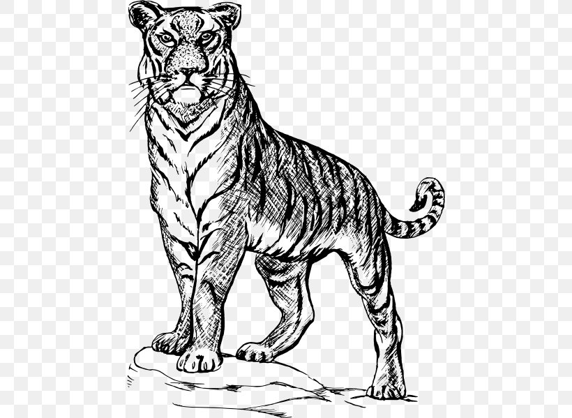 Cat Drawing Line Art Clip Art, PNG, 456x599px, Cat, Animal Figure, Art, Big Cats, Black And White Download Free