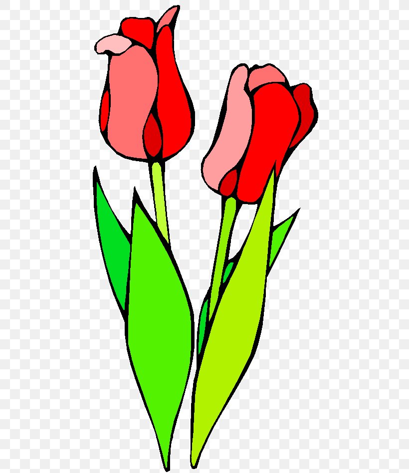 Clip Art Floral Design Vector Graphics Flower Tulip, PNG, 490x948px, Floral Design, Area, Art, Artwork, Cartoon Download Free