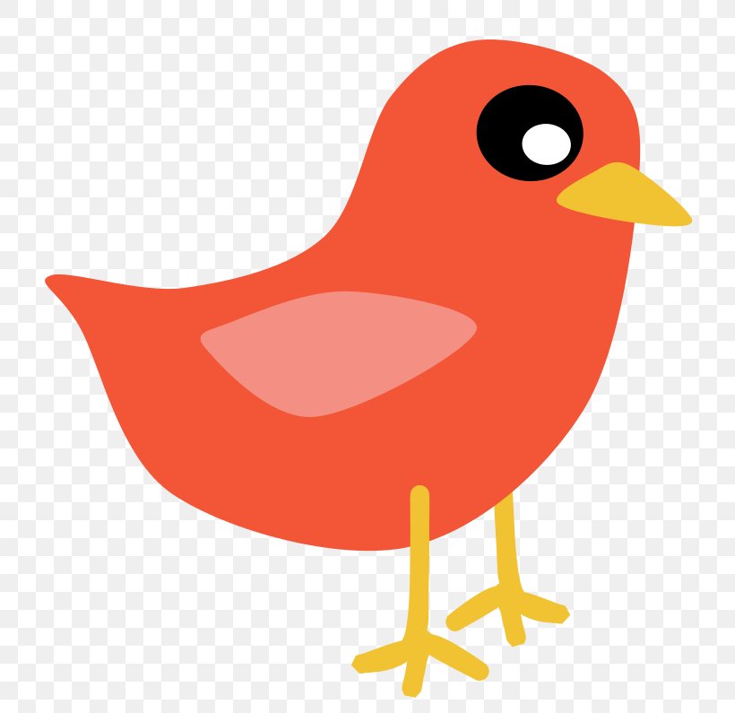 Eastern Bluebird Mountain Bluebird Clip Art, PNG, 800x795px, Bird, Animation, Beak, Blog, Bluebird Download Free