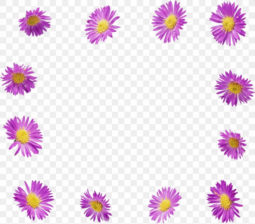 Flower Photography, PNG, 2768x2438px, Flower, Aster, Chrysanths, Cut Flowers, Dahlia Download Free