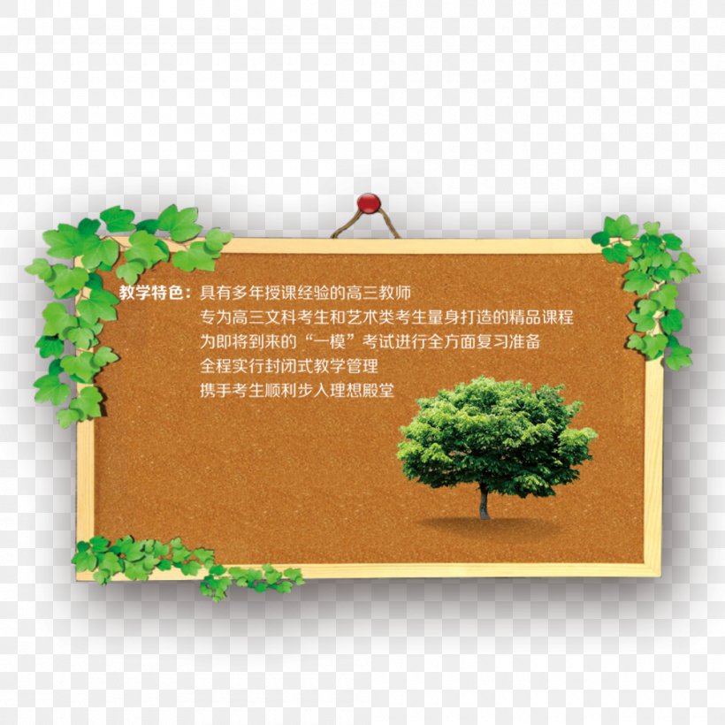 Gratis Download Flyer, PNG, 1000x1000px, Tree, Grass, Green, Plant, Rectangle Download Free