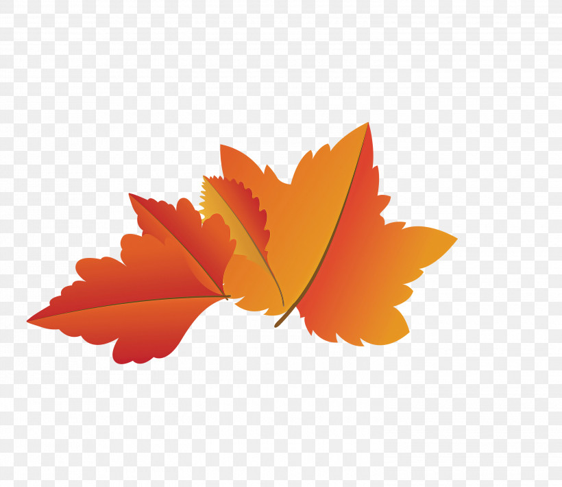 Maple Leaf, PNG, 3000x2600px, Autumn Leaf, Biology, Cartoon Leaf, Computer, Fall Leaf Download Free