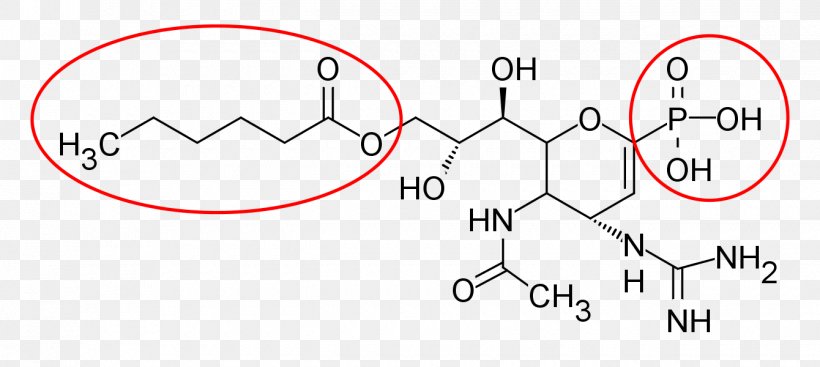 Neuraminidase Inhibitor Zanamivir Prodrug Oseltamivir, PNG, 1340x600px, Neuraminidase Inhibitor, Active Ingredient, Area, Auto Part, Bioavailability Download Free