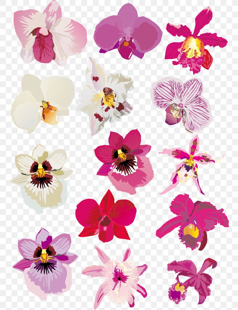 Orchids Euclidean Vector Download, PNG, 760x1068px, Orchids, Cartoon, Clip Art, Cut Flowers, Flat Design Download Free