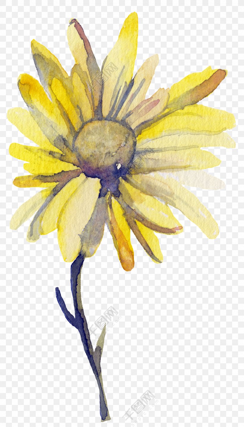 Watercolor: Flowers Watercolor Painting Image Illustration, PNG, 1024x1791px, Watercolor Flowers, Art, Chrysanths, Daisy, Daisy Family Download Free