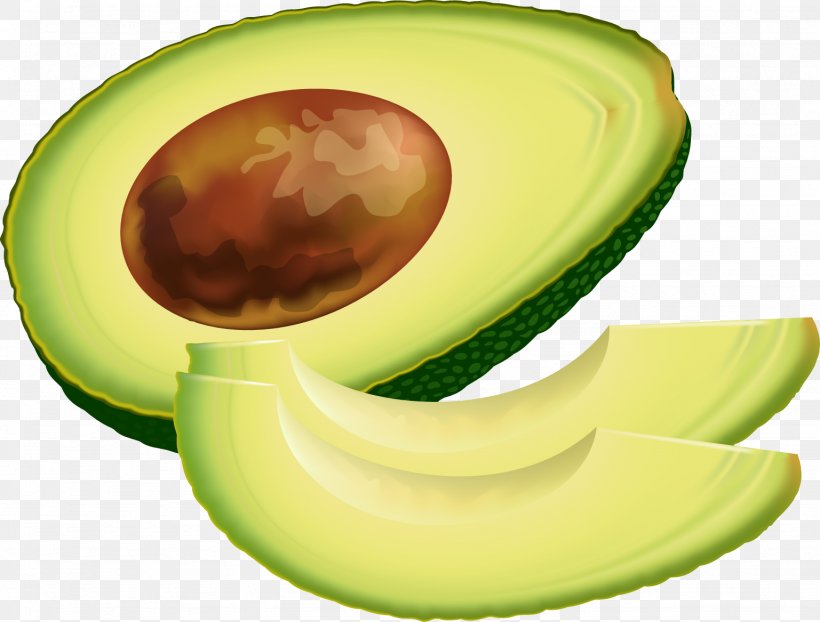 Avocado Vegetable Clip Art, PNG, 1537x1167px, Avocado, Computer, Diet Food, Food, Free Content Download Free