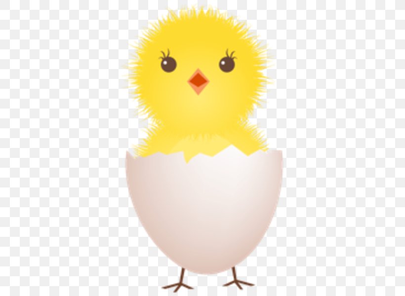 Chicken Fried Egg Eggshell Clip Art, PNG, 600x600px, Chicken, Beak, Bird, Bird Of Prey, Chicken Egg Download Free