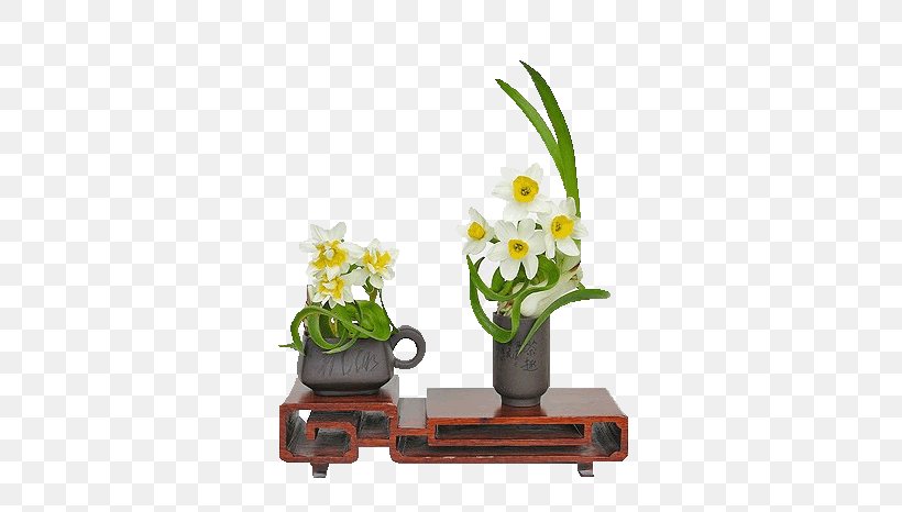 Narcissus Bunch-flowered Daffodil China Image Sina Corp, PNG, 616x466px, Narcissus, Blog, Bunchflowered Daffodil, China, Cut Flowers Download Free