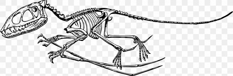 Pterodactyls Stegosaurus Dinosaur Plesiosauria Ichthyosaurus, PNG, 2400x786px, Pterodactyls, Artwork, Auto Part, Black And White, Bone Download Free