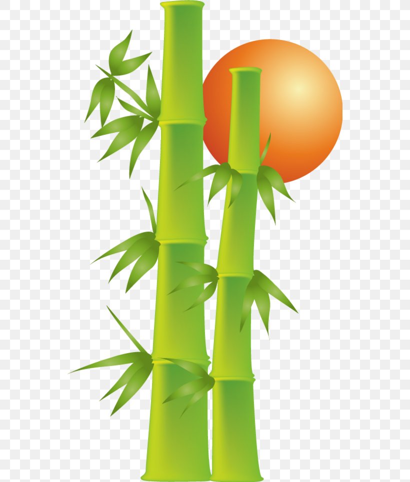 Bamboe Bamboo Drawing Download, PNG, 550x965px, Bamboe, Bamboo, Dracaena Braunii, Drawing, Flowerpot Download Free