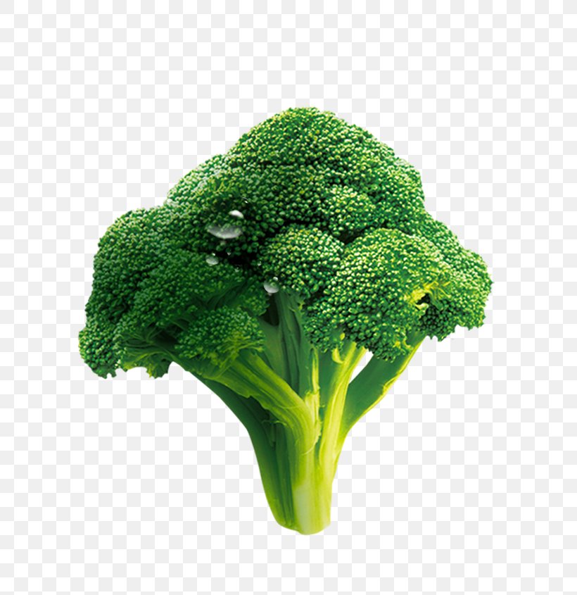 Broccoli Vegetable Cauliflower, PNG, 734x845px, Broccoli, Brassica Oleracea, Capitata Group, Cauliflower, Computer Network Download Free