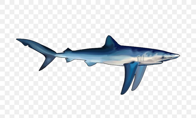 Great White Shark Hungry Shark Evolution Hungry Shark World Blue Shark, PNG, 700x495px, Great White Shark, Animal, Blacktip Reef Shark, Blacktip Shark, Blue Shark Download Free