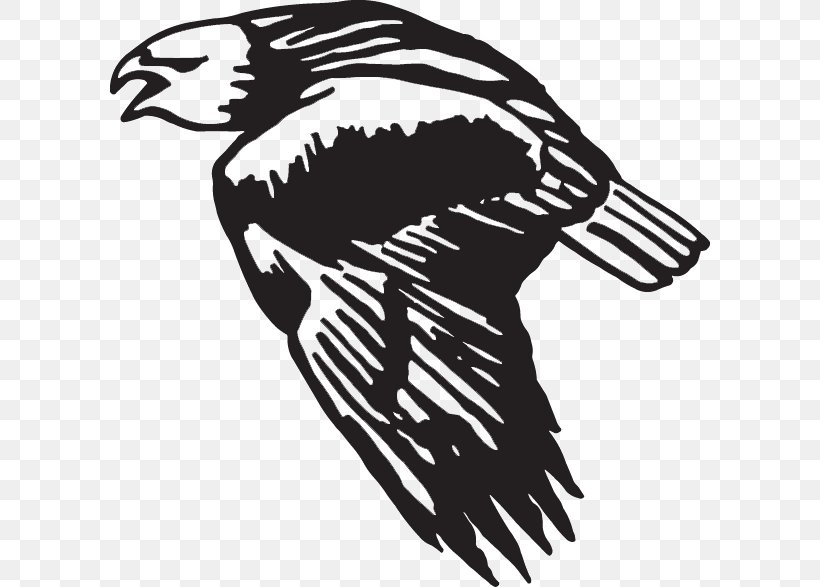 Decal Sticker Wing Bird Bald Eagle, PNG, 600x587px, Decal, Art, Artwork, Bald Eagle, Beak Download Free