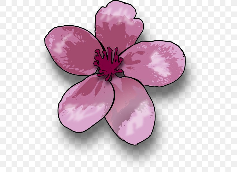 Drawing Blossom Apple Clip Art, PNG, 582x598px, Drawing, Apple, Art, Art Museum, Blossom Download Free