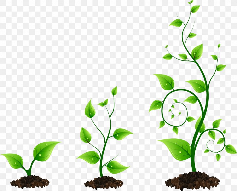 Grow Light Plant Bud Clip Art, PNG, 1822x1470px, Grow Light, Branch, Bud, Flora, Flower Download Free