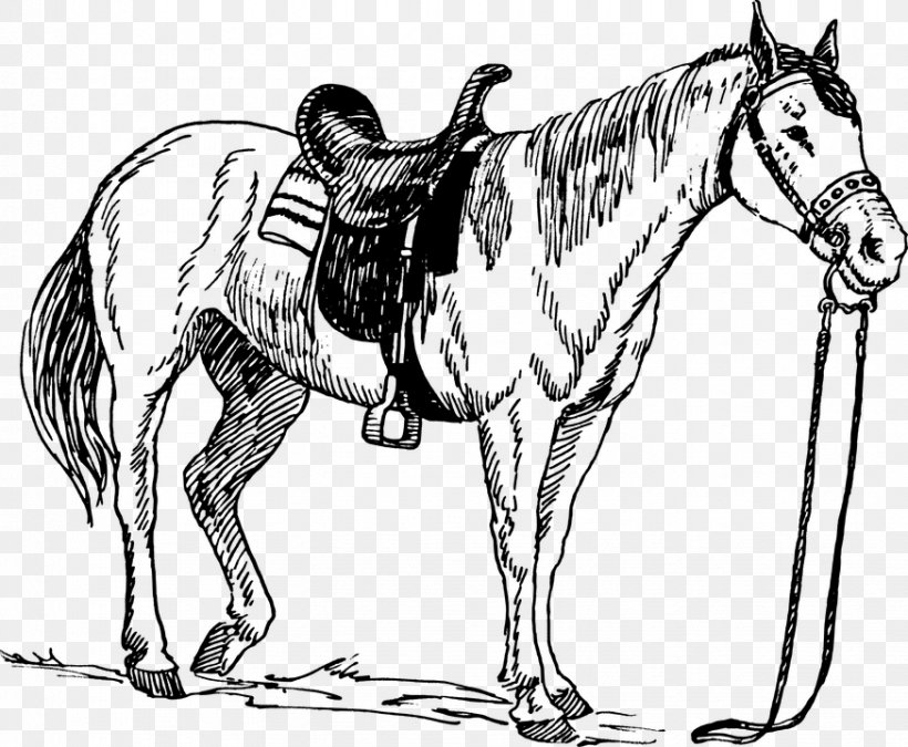 Horse Saddle Drawing Clip Art, PNG, 874x720px, Horse, Art, Bit, Black And White, Bridle Download Free