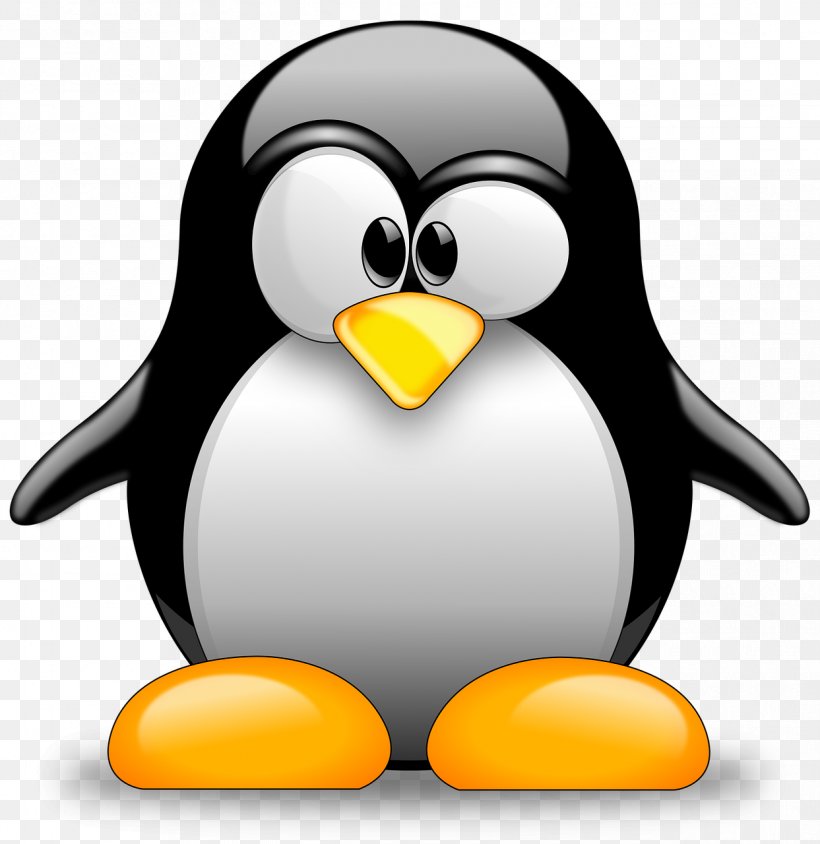 Tux Racer Penguin Linux, PNG, 1243x1280px, Tux Racer, African Penguin, Beak, Bird, Flightless Bird Download Free