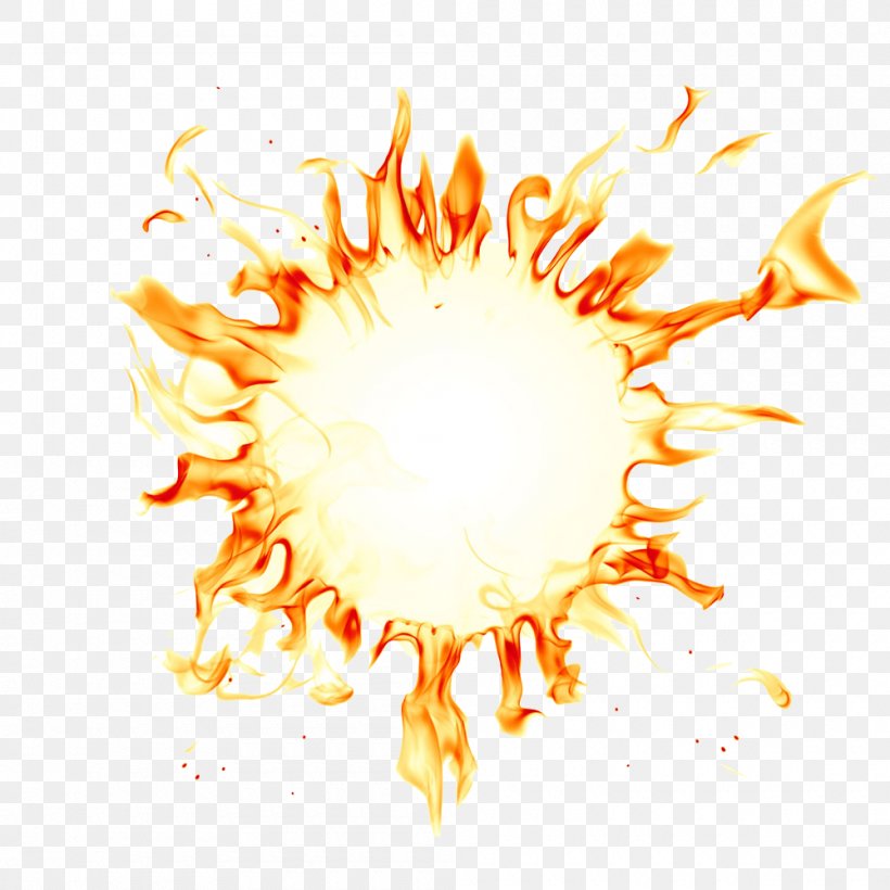 Fire Flame Circle Corona, PNG, 1000x1000px, Flame, Clip Art, Combustion, Explosion, Fire Download Free