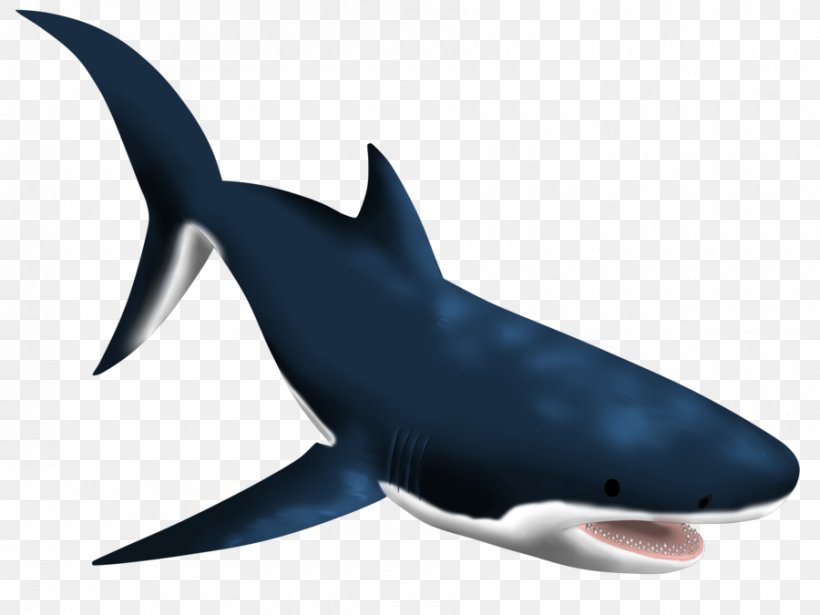 Great White Shark Requiem Sharks Marine Biology Marine Mammal, PNG, 900x675px, Great White Shark, Biology, Blue, Cartilaginous Fish, Cobalt Download Free