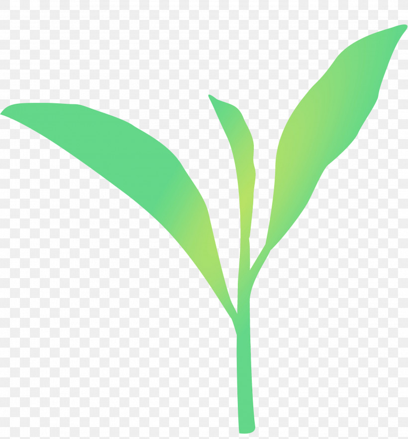 Leaf Green Plant Flower Plant Stem, PNG, 2781x3000px, Tea Leaves, Flower, Grass, Green, Leaf Download Free
