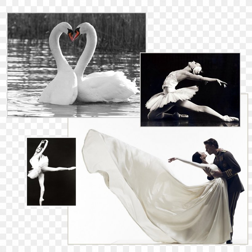 Mariinsky Ballet Swan Lake Dance Bolshoi Theatre, Moscow, PNG, 1000x1000px, Watercolor, Cartoon, Flower, Frame, Heart Download Free