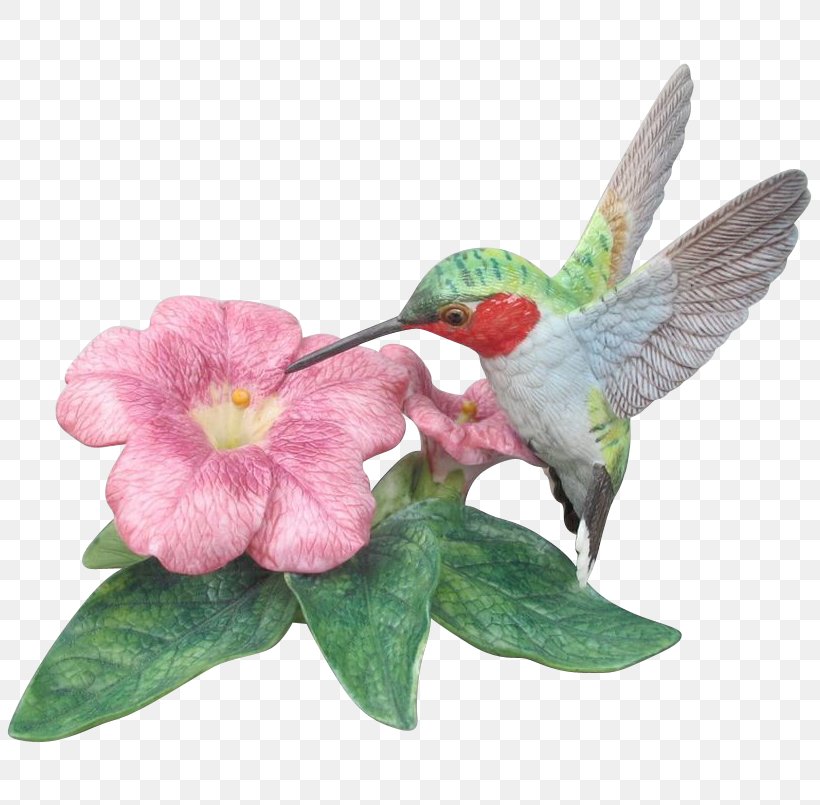 Rivoli's Hummingbird Beak Figurine, PNG, 805x805px, Hummingbird, Art, Beak, Bird, Collectable Download Free