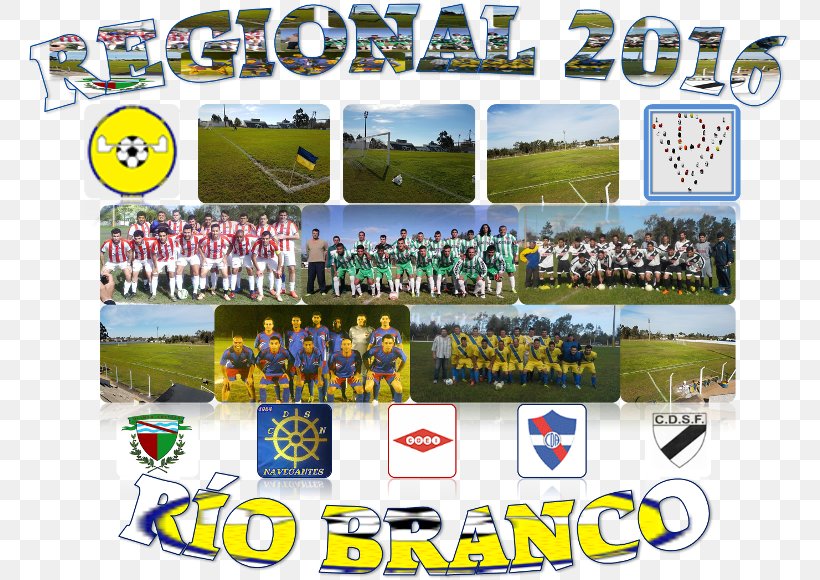 Team Sport Championship Banner, PNG, 768x580px, Team Sport, Advertising, Banner, Championship, Grass Download Free