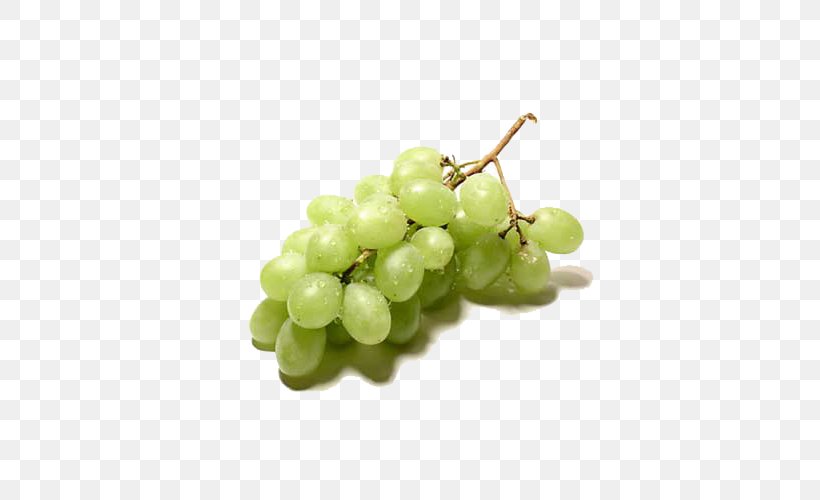 Vinho Verde Red Wine Common Grape Vine, PNG, 500x500px, Vinho Verde, Blue, Common Grape Vine, Food, Fruit Download Free