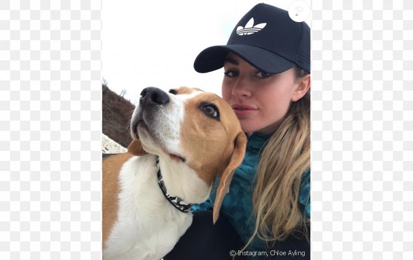 Chloe Ayling Model Dog Breed Kidnapping Surrey, PNG, 950x600px, Model, Allegation, Child Abduction, Companion Dog, Dog Download Free
