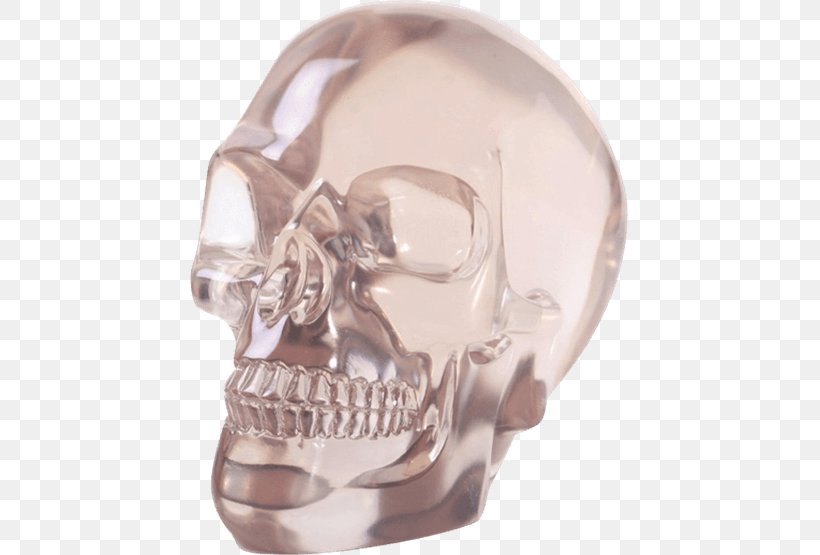 Crystal Skull Calavera Human Skull Symbolism Head, PNG, 555x555px, Skull, Art, Bone, Calavera, Crystal Skull Download Free