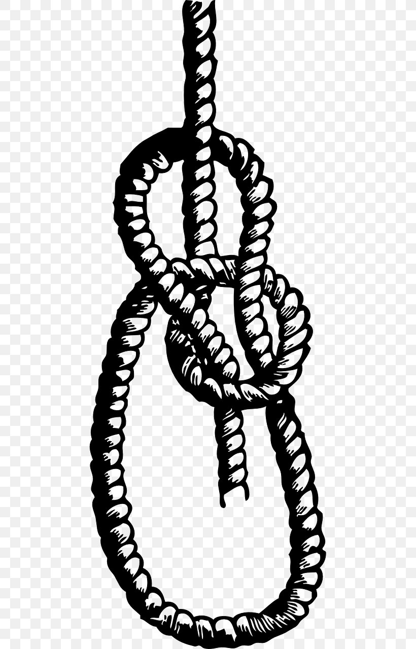 Knot Seizing Clip Art, PNG, 640x1280px, Knot, Black And White, Bowline, Bowline On A Bight, Line Art Download Free