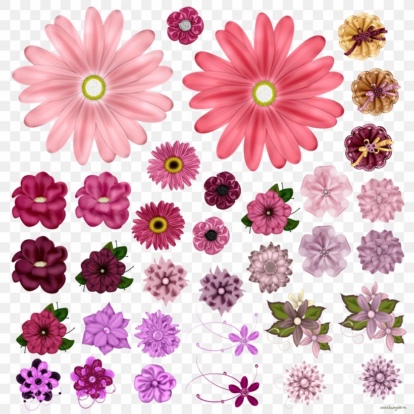 Flower, PNG, 3333x3333px, Flower, Annual Plant, Chrysanths, Color, Cut Flowers Download Free