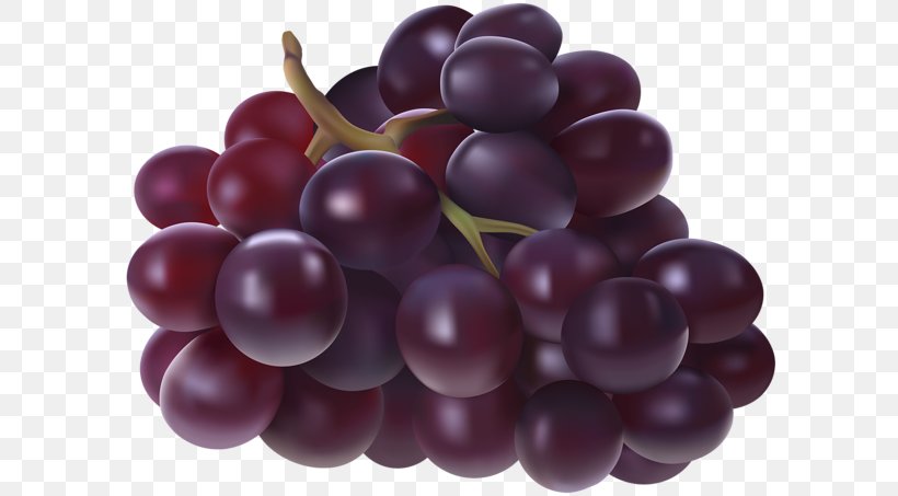 Juice Sultana Riesling White Wine Zante Currant, PNG, 600x453px, Juice, Amazon Grape, Berry, Blackcurrant, Common Grape Vine Download Free