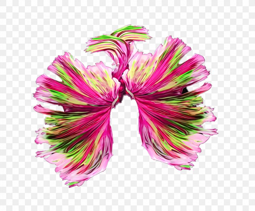 Pink Plant Flower Petal Hair Tie, PNG, 2200x1820px, Watercolor, Flower, Hair Tie, Paint, Petal Download Free