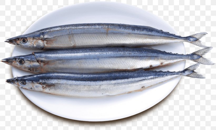 Sardine Pacific Saury Fish Products Oily Fish, PNG, 974x587px, Sardine, Anchovies As Food, Anchovy, Anchovy Food, Animal Source Foods Download Free