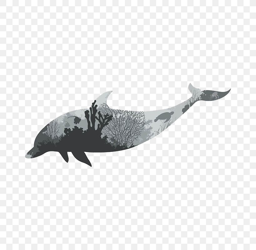 Vector Graphics Wall Decal Image Dolphin Illustration, PNG, 800x800px, Wall Decal, Art, Canvas, Coral, Dolphin Download Free