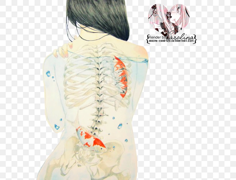 Bone Marrow Human Skeleton Skull, PNG, 600x626px, Bone, Art, Back, Blouse, Bone Marrow Download Free