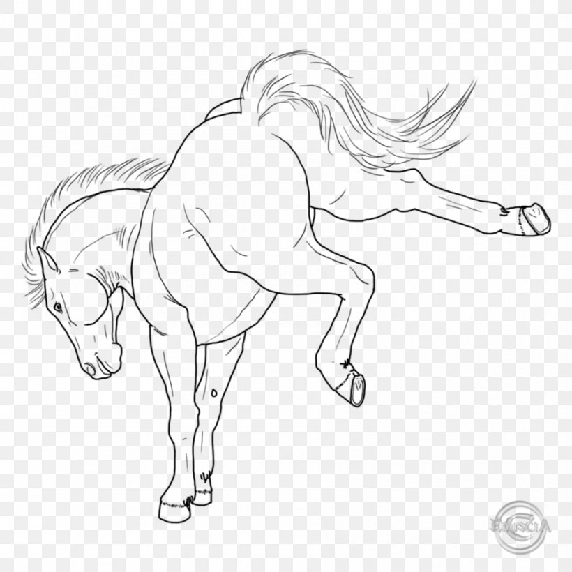 Arabian Horse Fjord Horse Stallion Foal Mare, PNG, 894x894px, Arabian Horse, Animal Figure, Arm, Artwork, Black And White Download Free