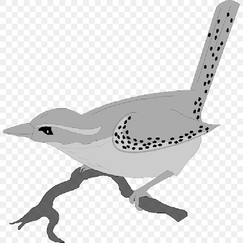 Bird Beak Swans Goose Wren, PNG, 800x819px, Bird, Animal Figure, Beak, Bird Houses, Charadriiformes Download Free