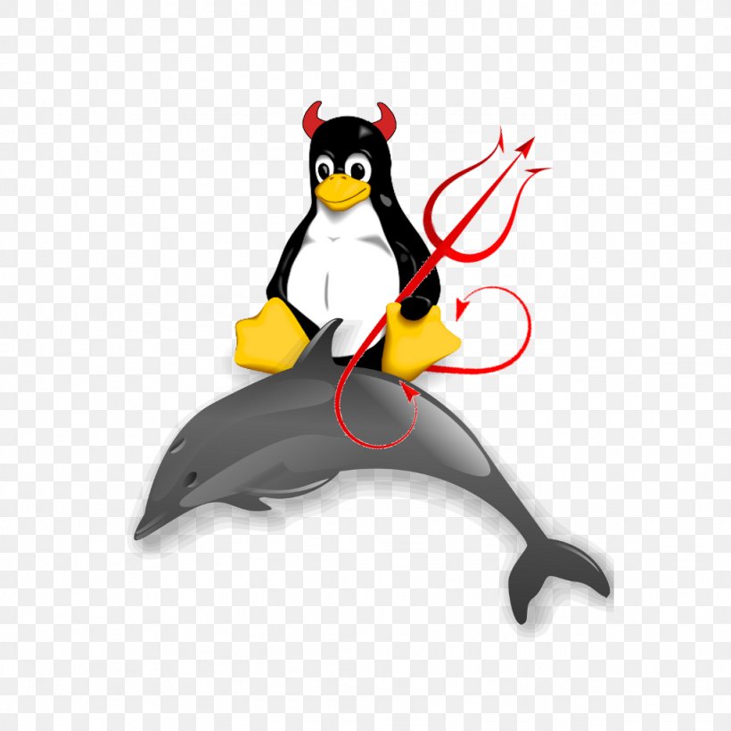 Common Bottlenose Dolphin Clip Art Vector Graphics Free Content, PNG, 1024x1024px, Dolphin, Beak, Bird, Cartoon, Cetaceans Download Free
