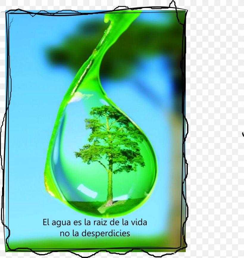 Drew Drop And The Water Cycle Drew Drop And The Water Cycle Tree Dew, PNG, 1515x1600px, Drop, Cleaning, Condensation, Dew, Drinking Water Download Free