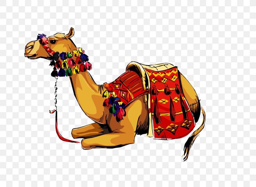 Dromedary Bactrian Camel Clip Art, PNG, 800x600px, Dromedary, Arabian Camel, Bactrian Camel, Camel, Camel Like Mammal Download Free