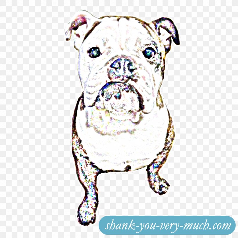Toy Bulldog Dog Breed Puppy Love, PNG, 900x900px, Toy Bulldog, Breed, British Bulldogs, Bulldog, Carnivoran Download Free