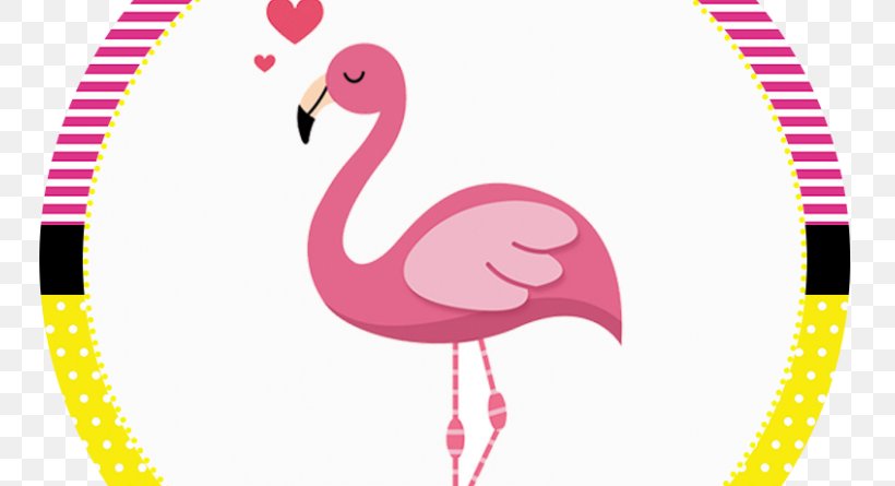 American Flamingo Water Bird Clip Art, PNG, 800x445px, American Flamingo, Beak, Bird, Curtain, Drawing Download Free