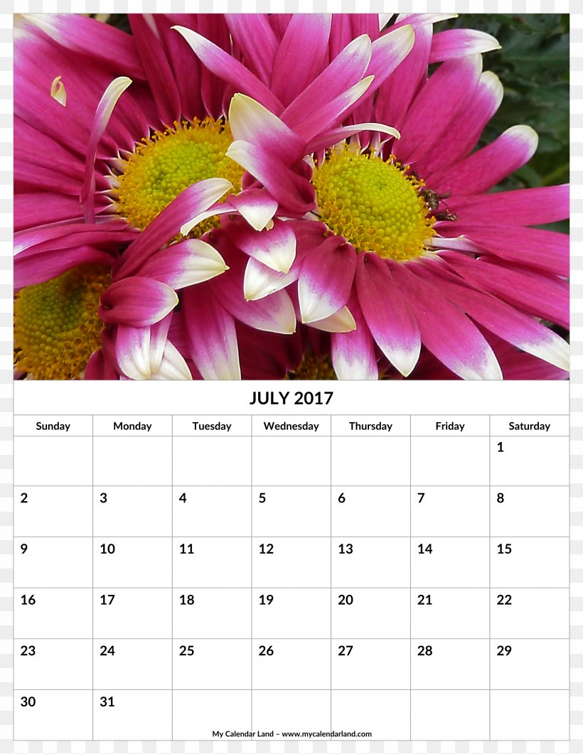 Calendar 0 July Month, PNG, 2550x3300px, 2018, Calendar, August, Common Daisy, Flower Download Free