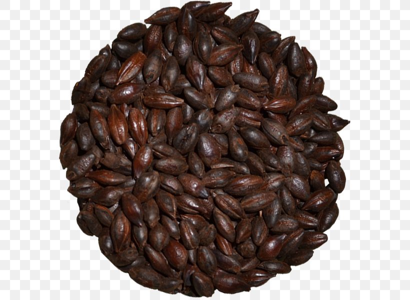 Coffee Bean Dry Roasting Commodity Shin-Kiba Station, PNG, 600x600px, Coffee, Coffee Bean, Commodity, Dry Roasting, Food Download Free