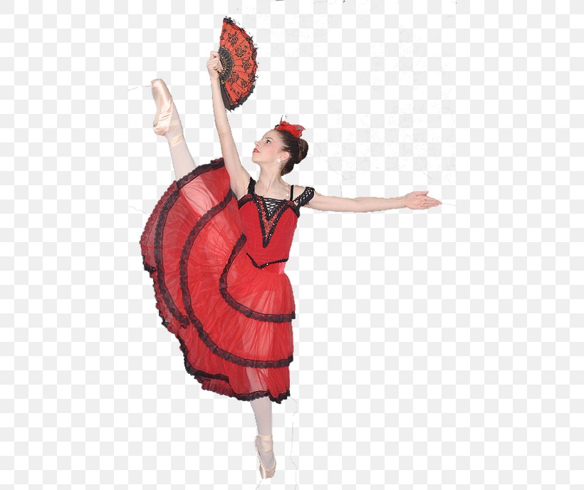 Dance Pointe Technique Classical Ballet Pointe Shoe, PNG, 462x688px, Watercolor, Cartoon, Flower, Frame, Heart Download Free