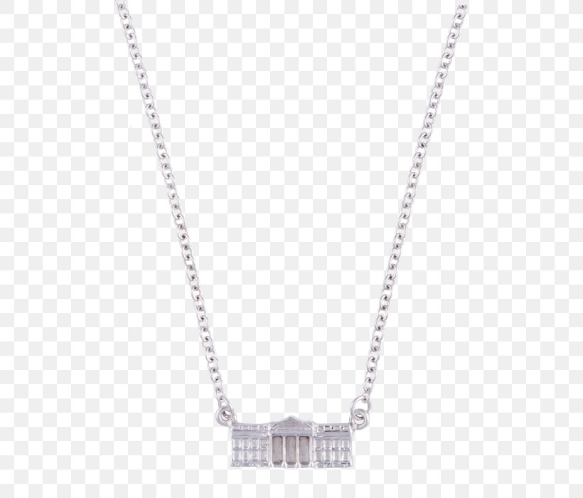 Necklace Charms & Pendants Chain Silver, PNG, 700x700px, Necklace, Chain, Charms Pendants, Jewellery, Pendant Download Free