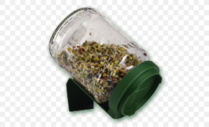 Organic Food Sprouting Seed Germinator Jar, PNG, 504x500px, Organic Food, Bean, Broccoli Sprouts, Crop, Food Download Free